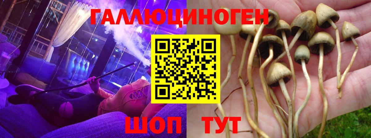 продажа наркотиков  Галлюциногенные грибы мицелий  Галлюциногенные грибы ЛСД  Вход с VPN  Аргун 
